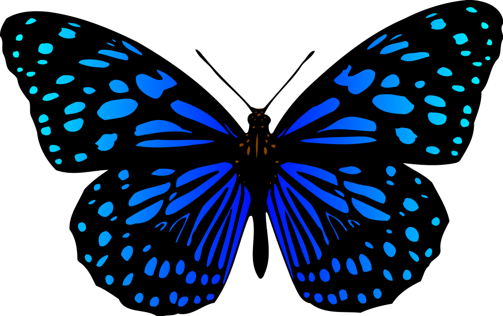 OnlineLabels Clip Art - Butterfly 17 (Colour 3)